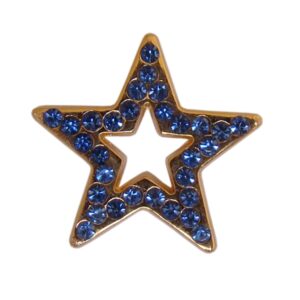 PIN COM STRASS - Ref. 32-CT